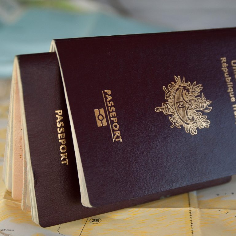 Two French Passports on a map. Image by jacqueline macou from Pixabay